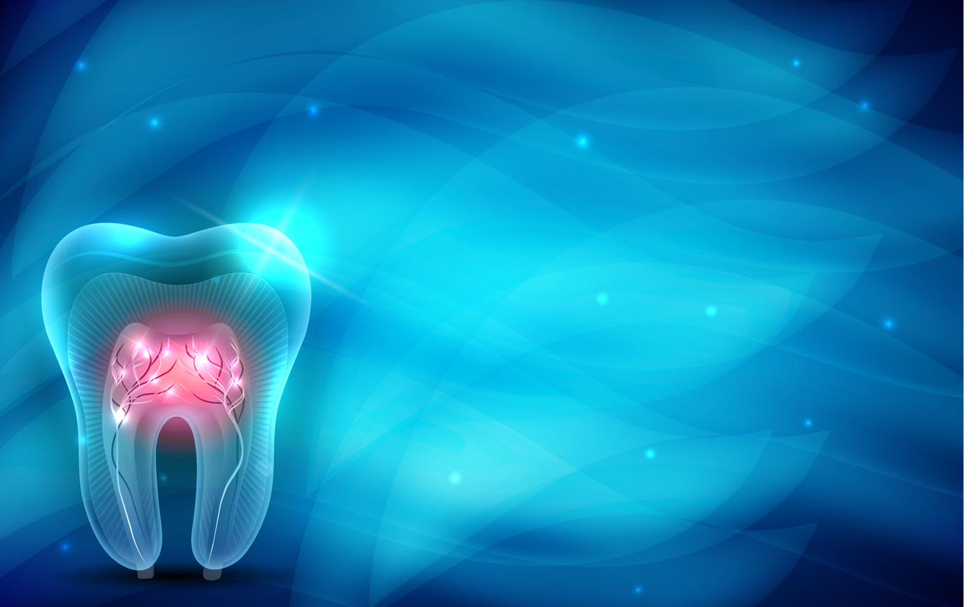 A digital 3D model of a tooth used for treatment planning