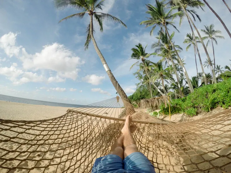 Person resting in a hammock strung between palms beside the beach on holiday, evoking the light, easy calm Happy Gas is designed to bring